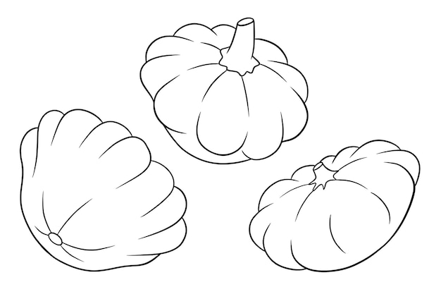 Premium vector squash set fresh squash coloring book in line style vector illustration for design and decoration