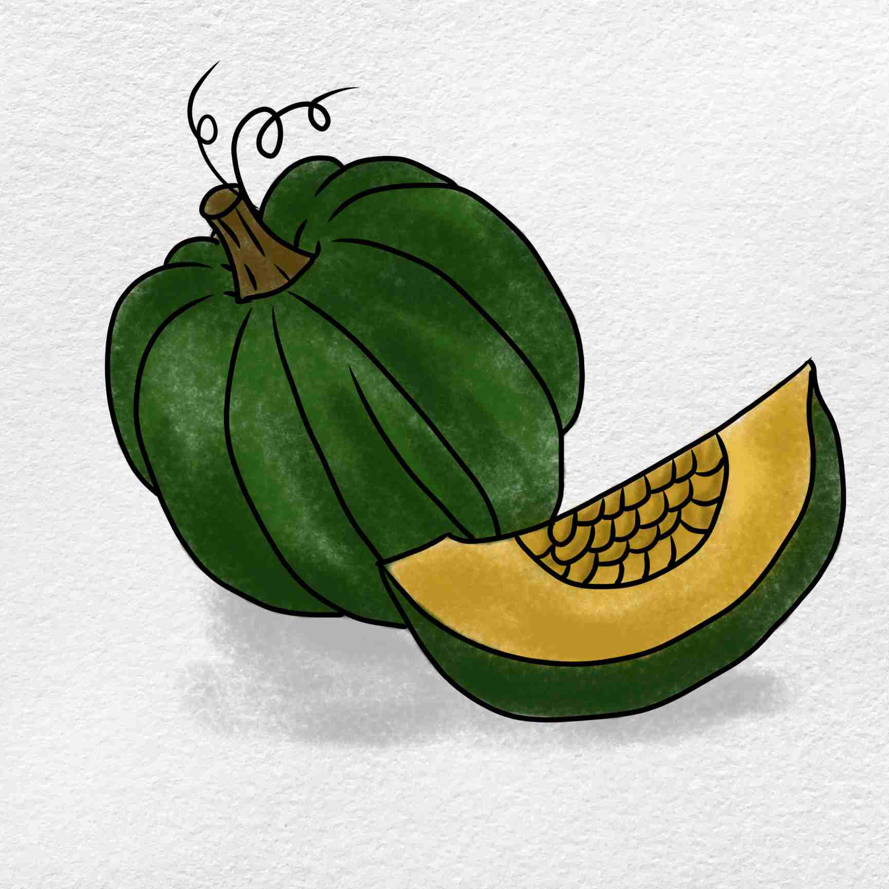 Squash drawing