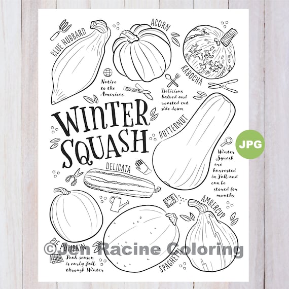 Squash coloring page winter squash vegetable coloring page garden gardening homegrown vegetable coloring pages