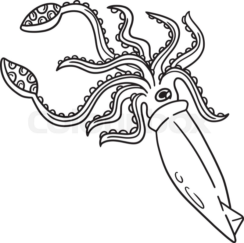 Giant squid coloring page for kids stock vector