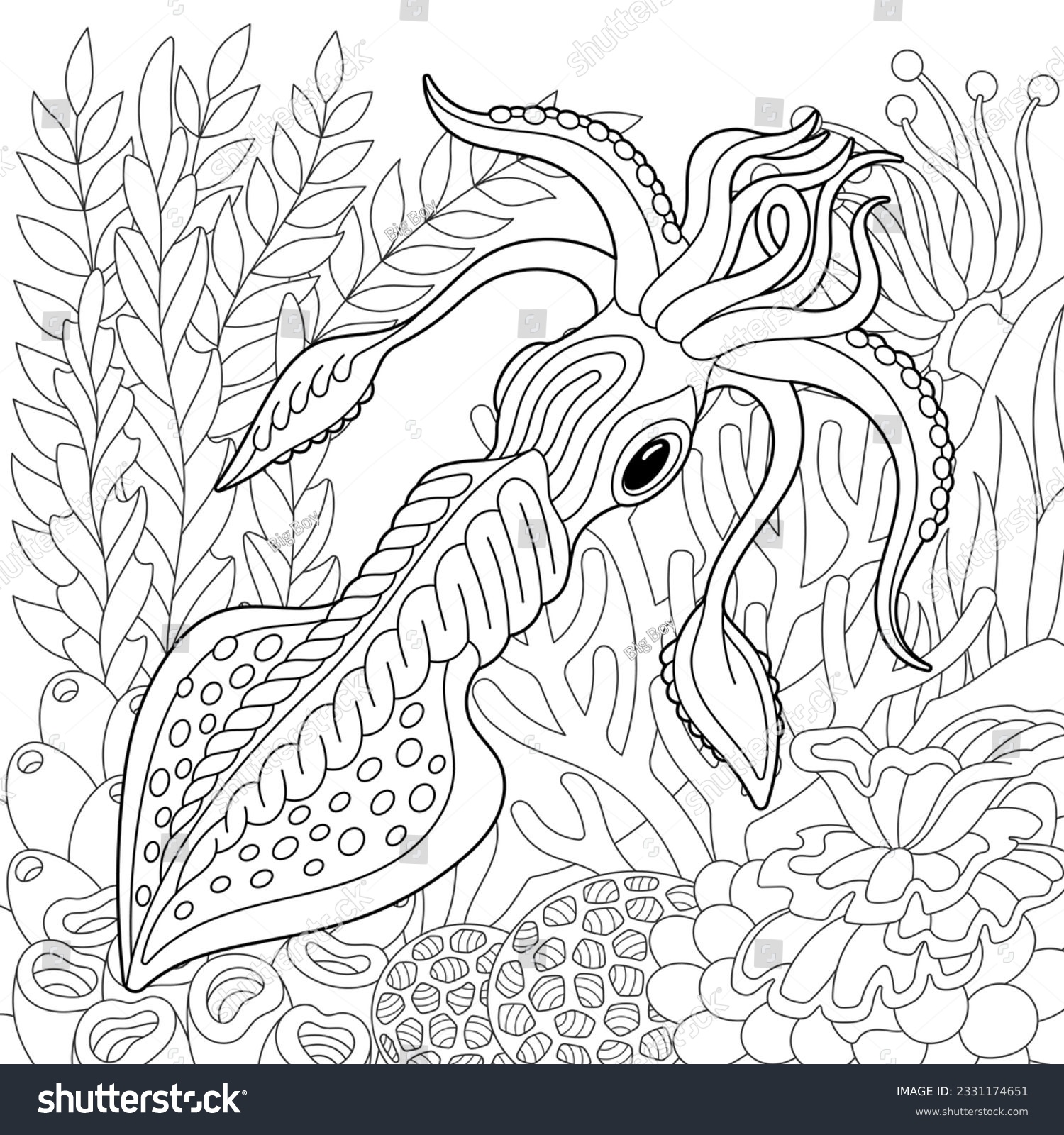 Squid coloring page outline sea design stock vector royalty free
