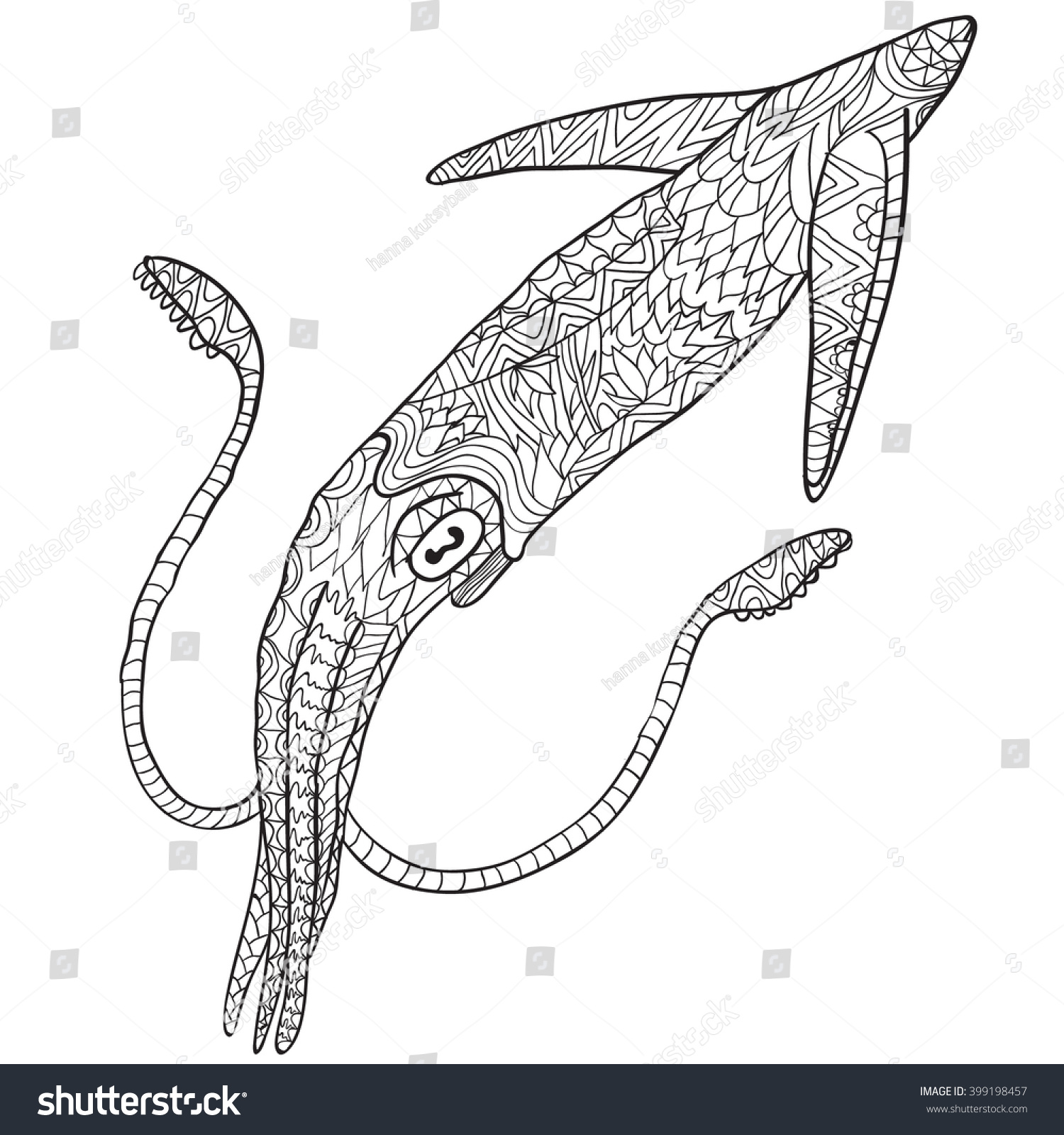Hand drawn coloring pages squid illustration stock vector royalty free