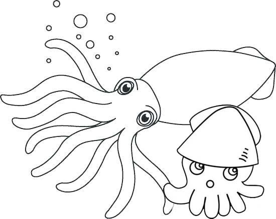 Cute squid and baby coloring pages baby coloring pages coloring pages animal coloring pages