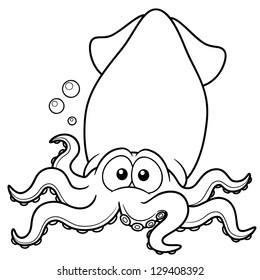 Squid coloring book images stock photos d objects vectors