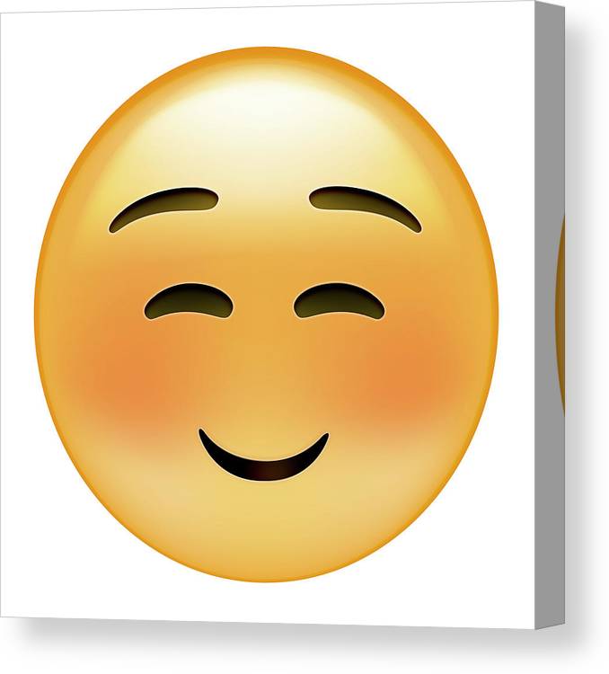 Emoji squint small smile canvas print canvas art by ali lynne