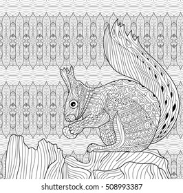 Squirrel zentangle images stock photos d objects vectors