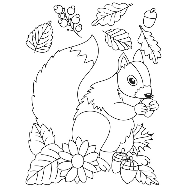 Thousand colorful squirrel royalty