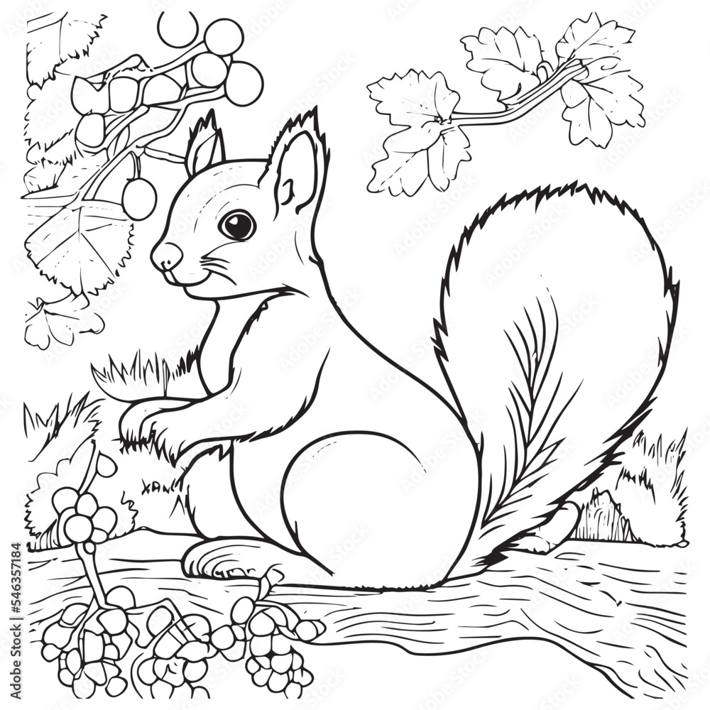 Squirrel outline vector illustration coloring book for children cartoon wild animal in black and white drawing happy mammal in nature fun isolated for coloring page school activity for kids vector