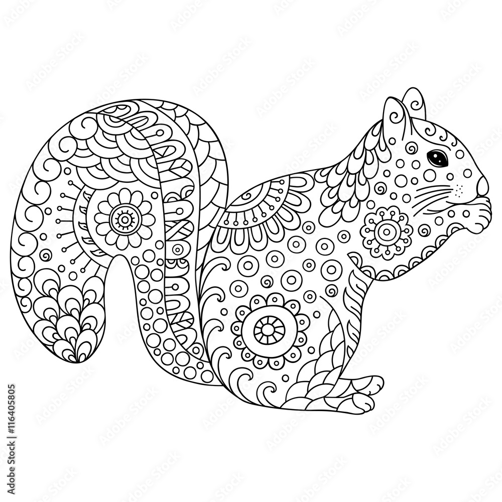 Zentangle stylized squirrel sketch for coloring book poster print or tattoo hand drawn vector illustration doodle animal adult antistress coloring page vector