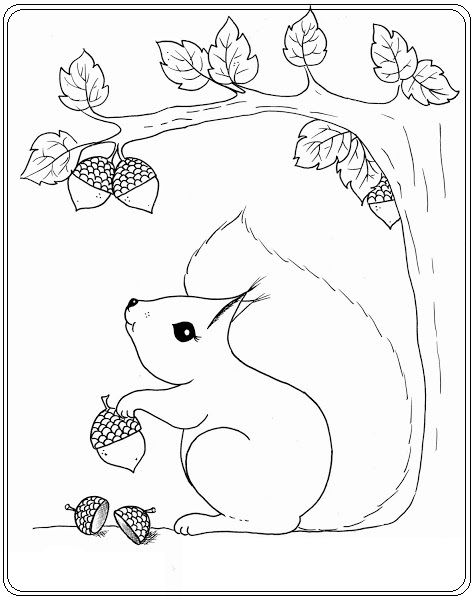 Eekhoorn fall coloring pages art drawings for kids squirrel coloring page