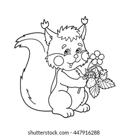 Squirrel coloring pages images stock photos d objects vectors