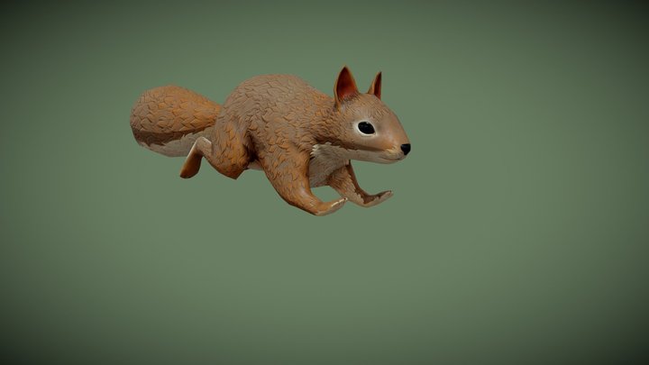 Squirrel d models
