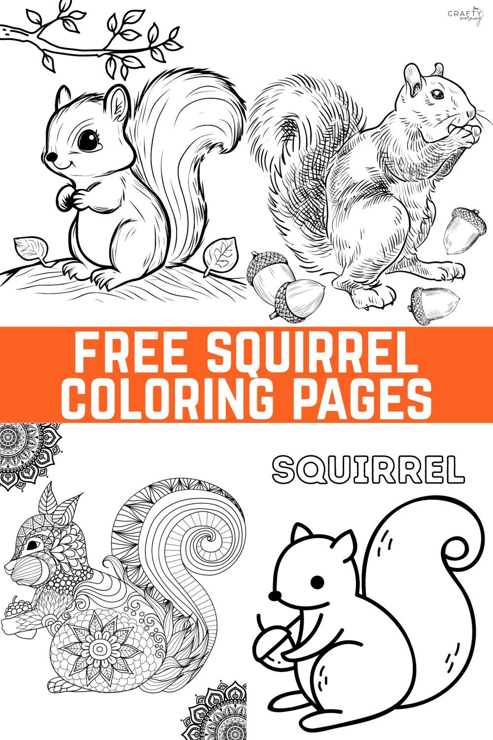 Squirrel coloring pages to print squirrel coloring page coloring pages to print coloring pages