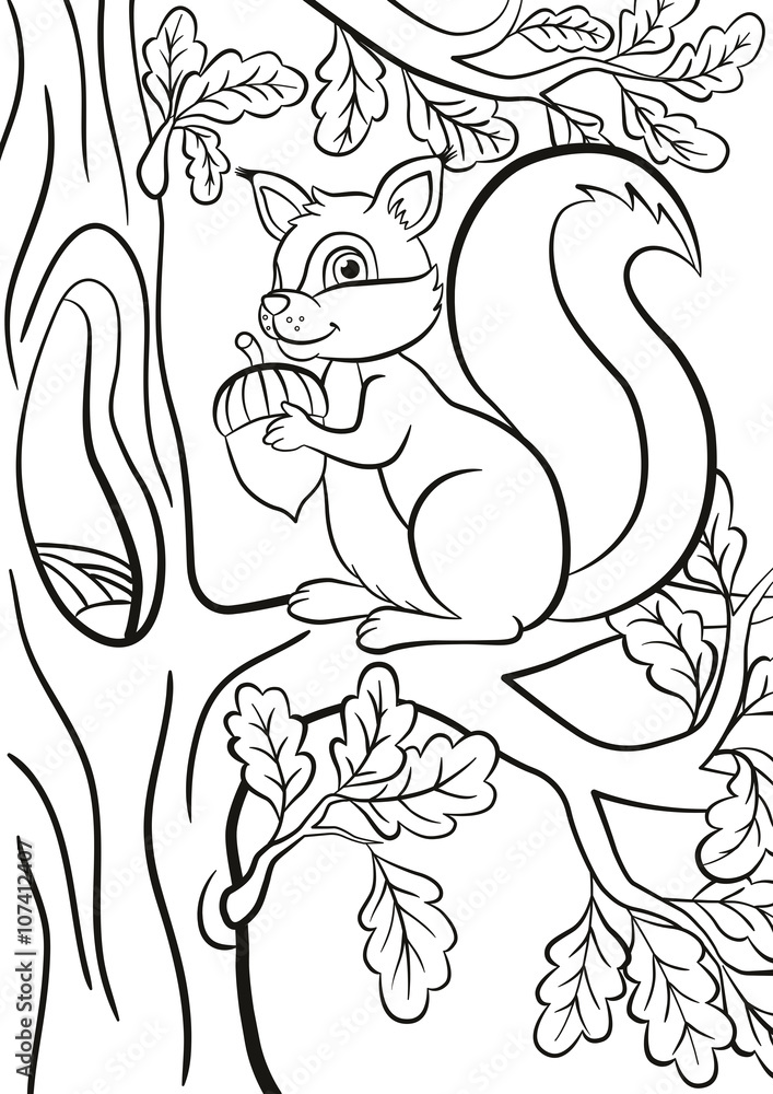 Coloring page little cute squirrel sits on the banch of a tree the squirrel smiles and holds an acorn in the hands vector