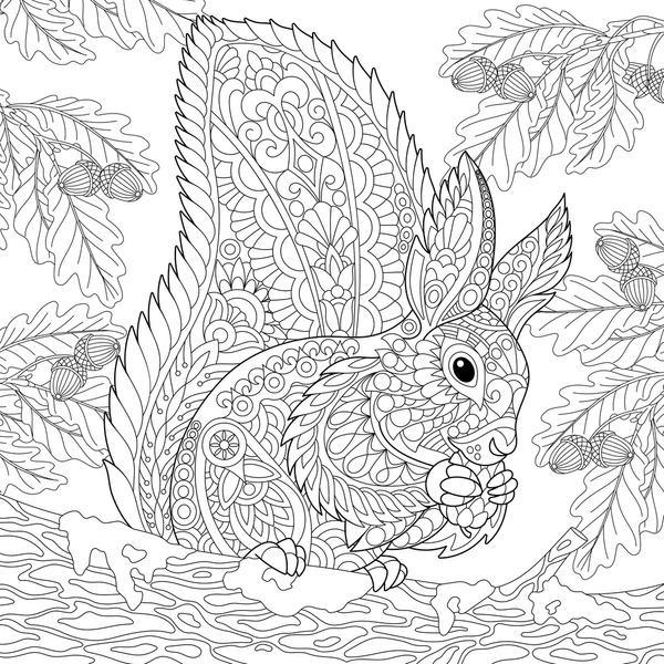 Adult coloring squirrel images stock photos d objects vectors