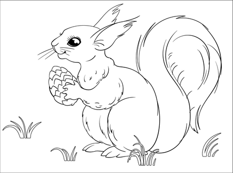 Squirrel coloring page free printable coloring pages