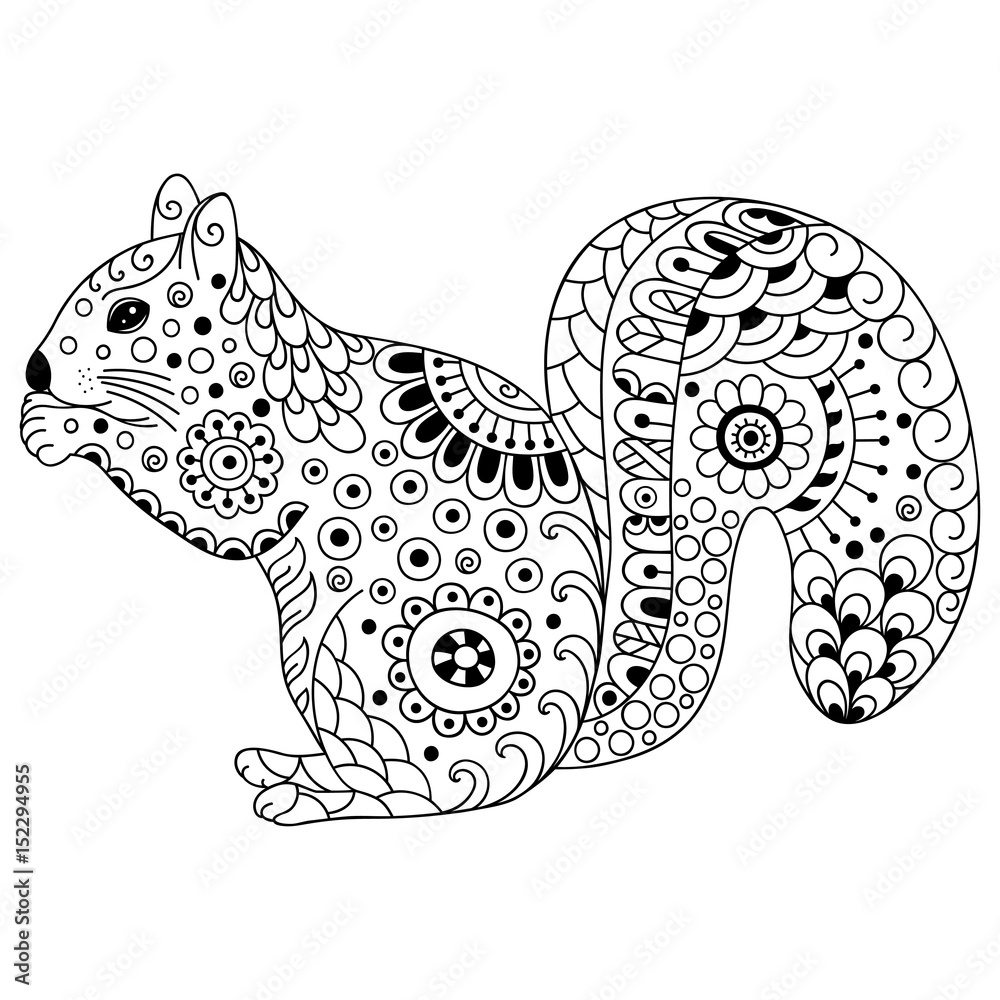 Doodle stylized squirrel sketch for coloring book poster print or tattoo hand drawn vector illustration doodle animal adult antistress coloring page vector