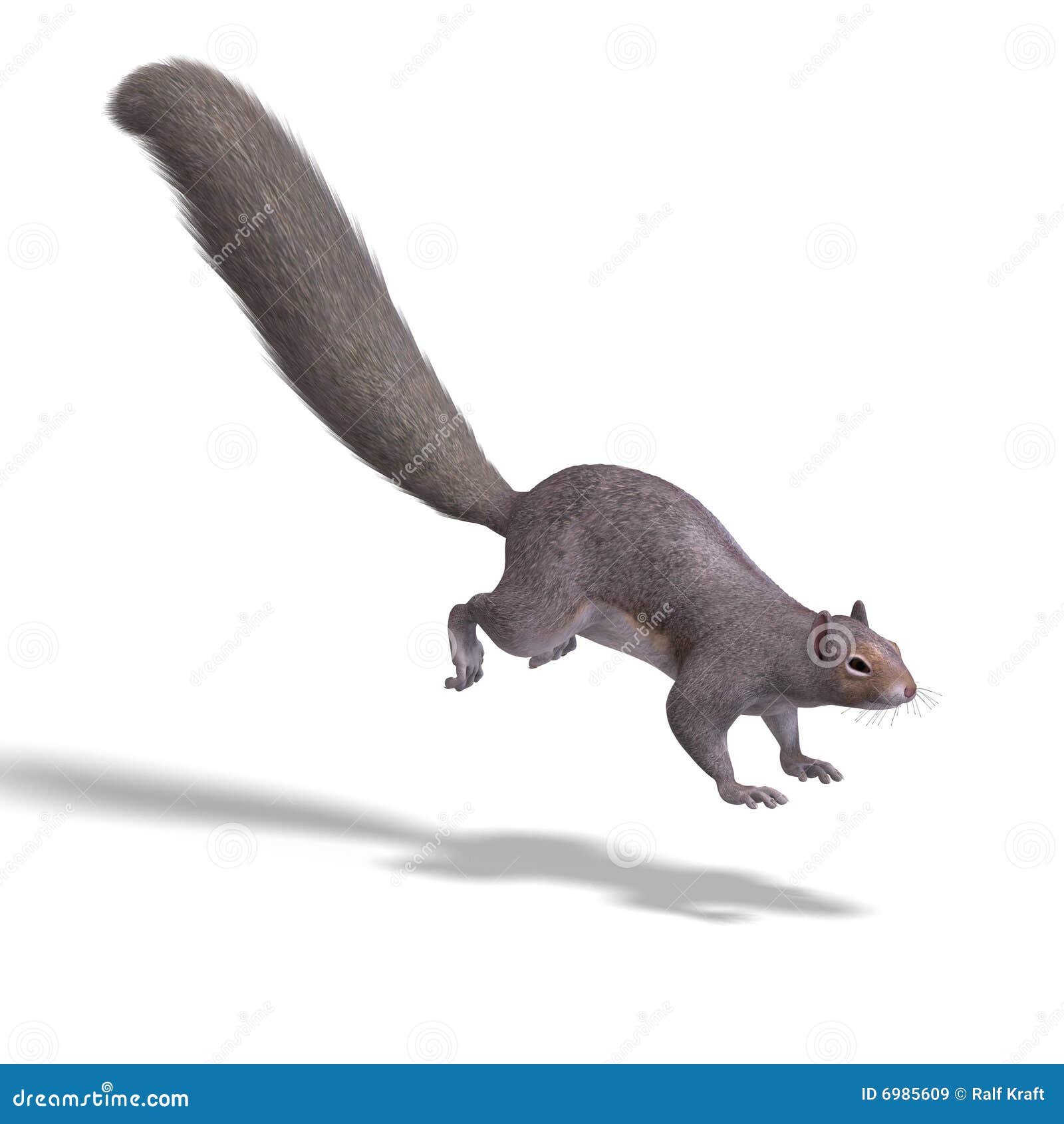 Squirrel jumping stock illustrations â squirrel jumping stock illustrations vectors clipart