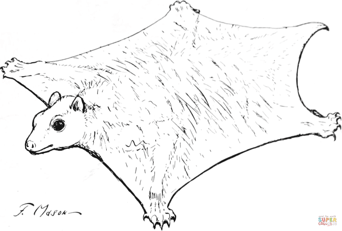 Flying squirrel coloring page free printable coloring pages