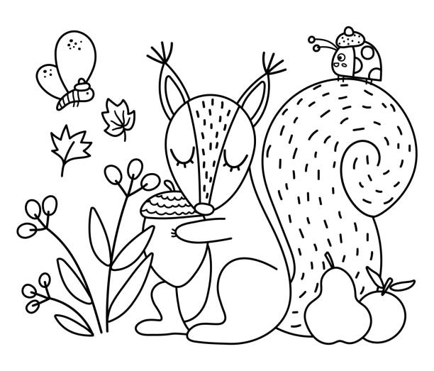 Squirrel coloring stock photos pictures royalty