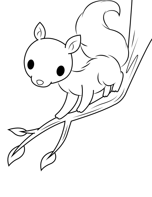 Printable baby squirrel on a branch coloring page