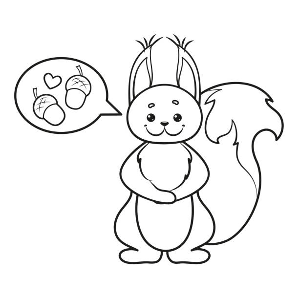Squirrel coloring stock photos pictures royalty