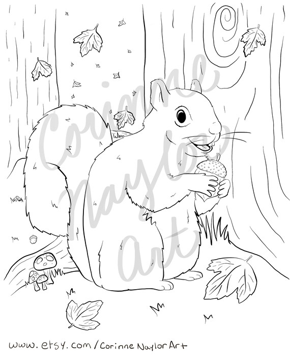 Forest friends coloring page squirrel