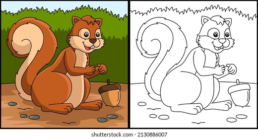 Squirrel coloring book images stock photos d objects vectors