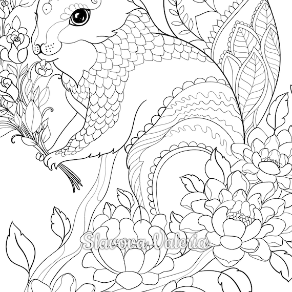 Squirrel with wildflowers printable coloring page adult coloring book pages by valeria slavova