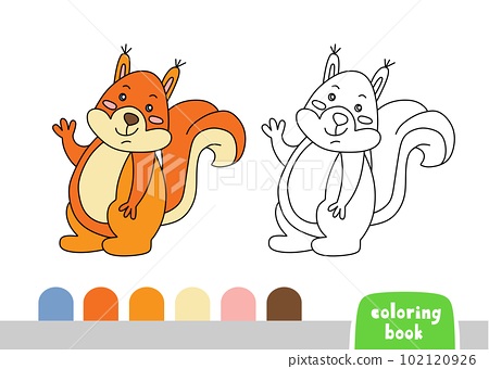 Cute squirrel coloring book for kids page for