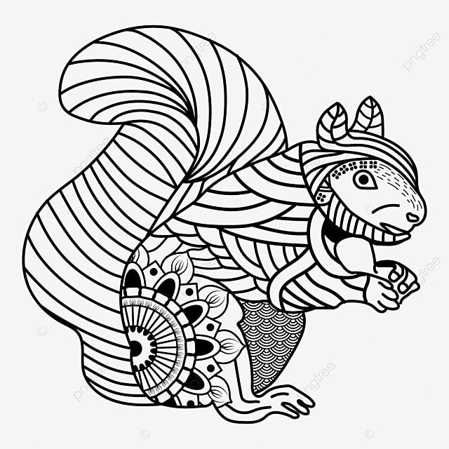 Squirrels coloring page squirrel drawing ring drawing color drawing png and vector with transparent background for free download