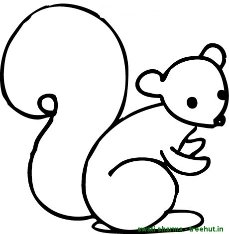 Squirrel colorg pages
