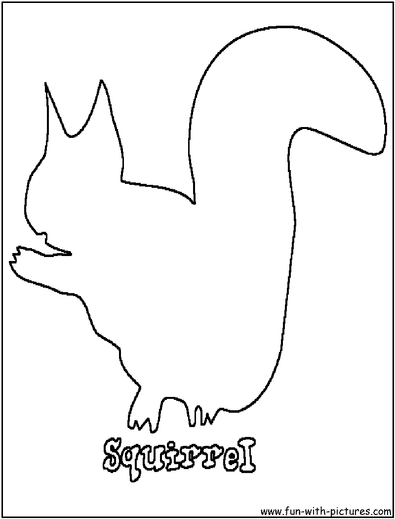 Squirrel coloring page