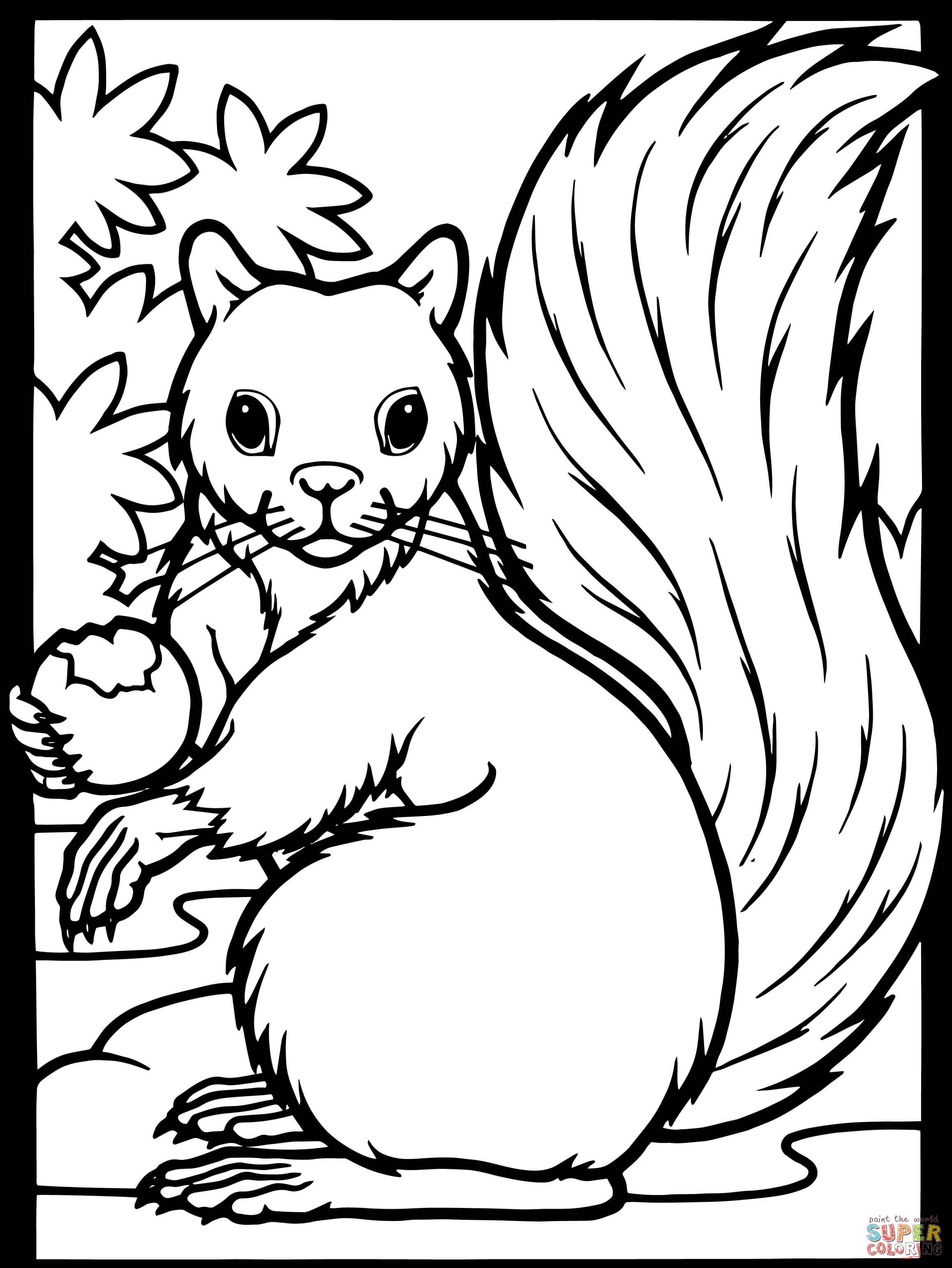 Squirrel acorn coloring page free printable coloring pages