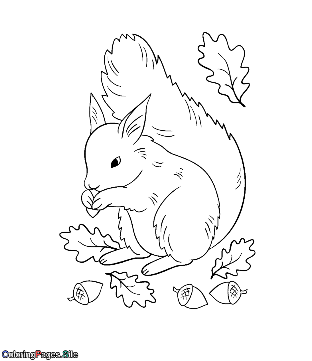 Cute squirrel eating acorns coloring page