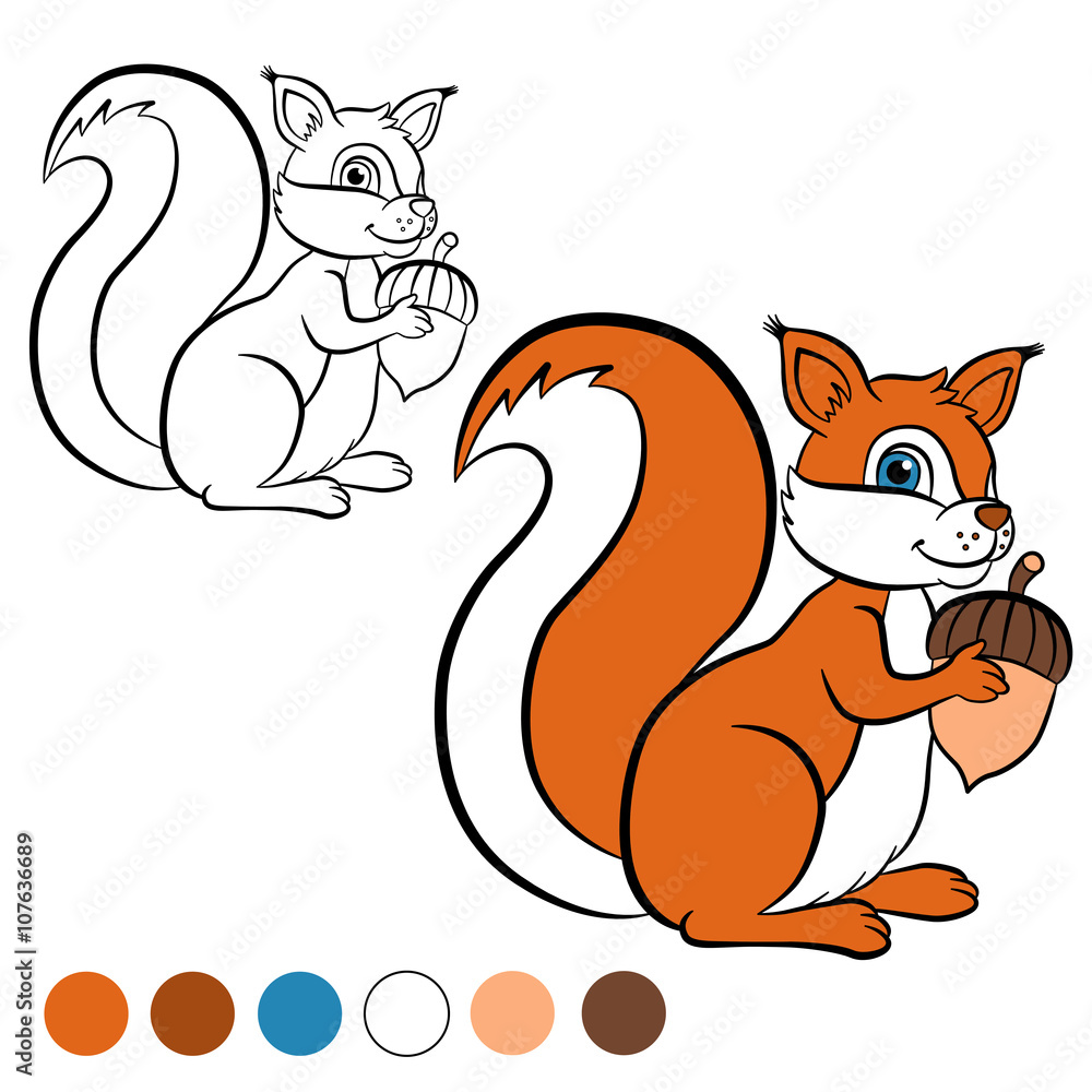 Coloring page color me squirrel little cute squirrel stands and holds an acorn in the hands vector