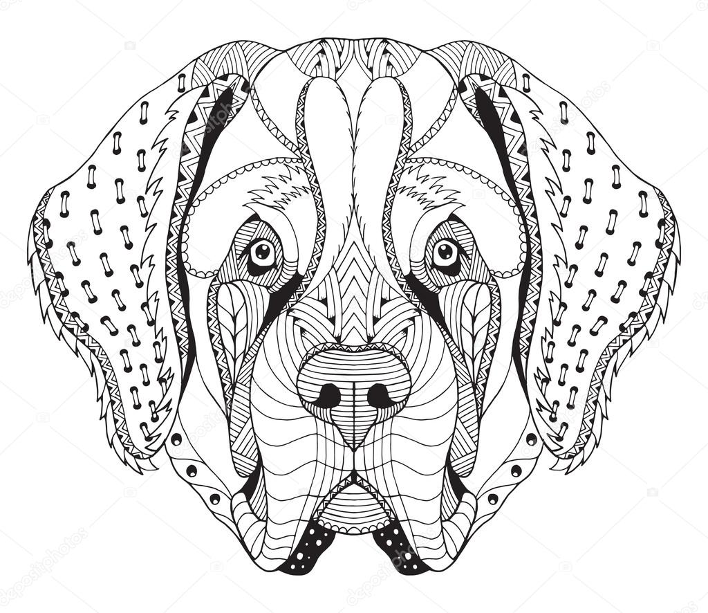 Saint bernard dog zentangle stylized head freehand pencil hand drawn pattern zen art ornate vector coloring book stock vector by romanroki