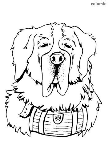 St bernard head coloring page dog coloring page puppy coloring pages animal coloring pages