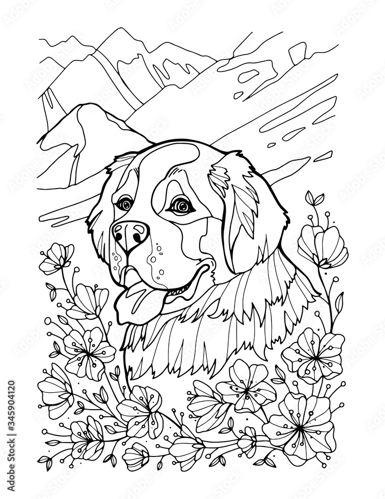 St bernard portrait in mountains coloring page vector illustration hand draw isolated on white background vector