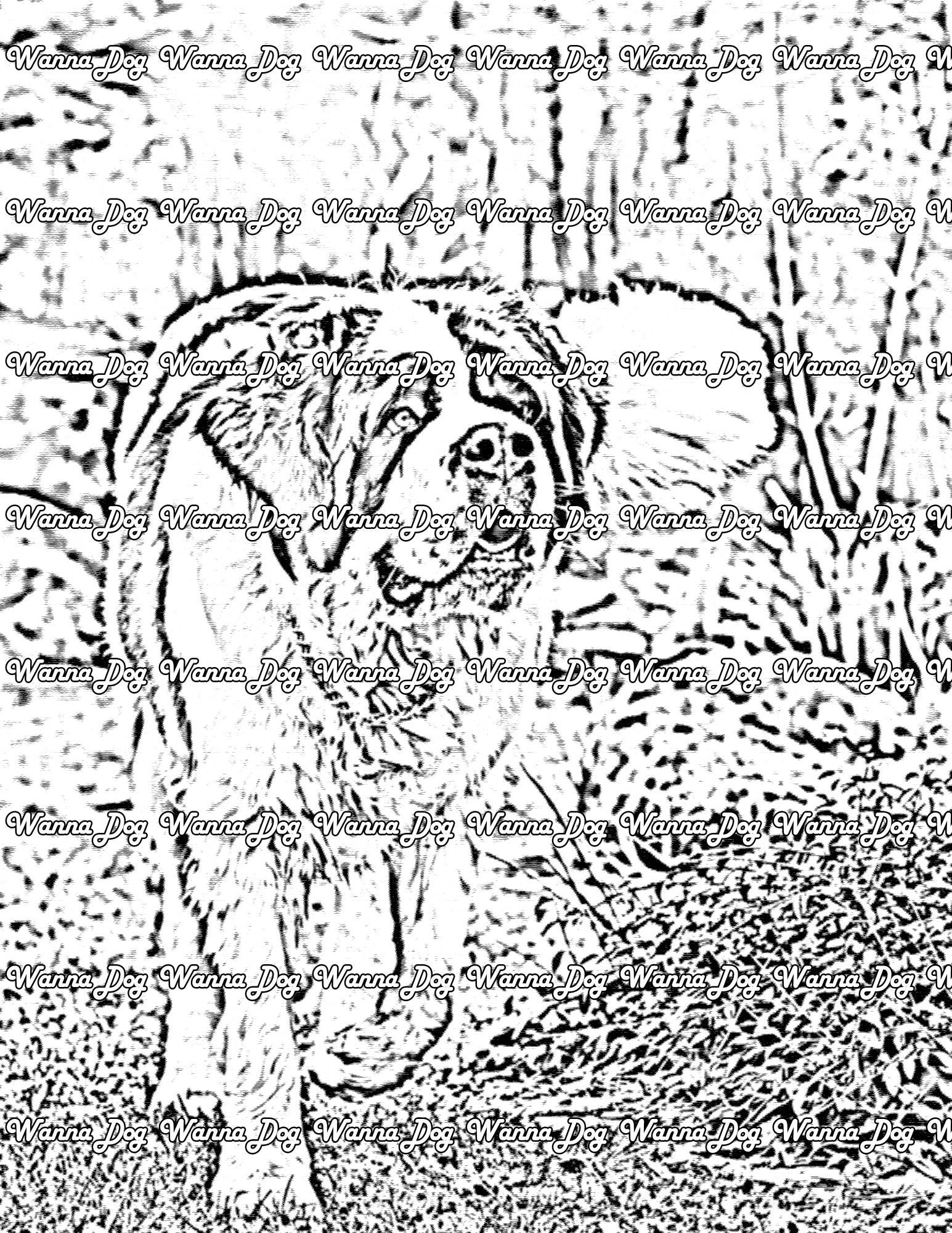 Saint bernard coloring pages â wanna dog