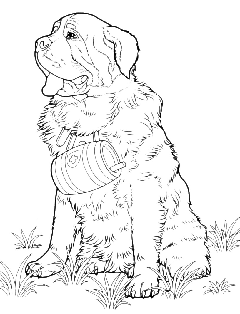 St bernard coloring pages