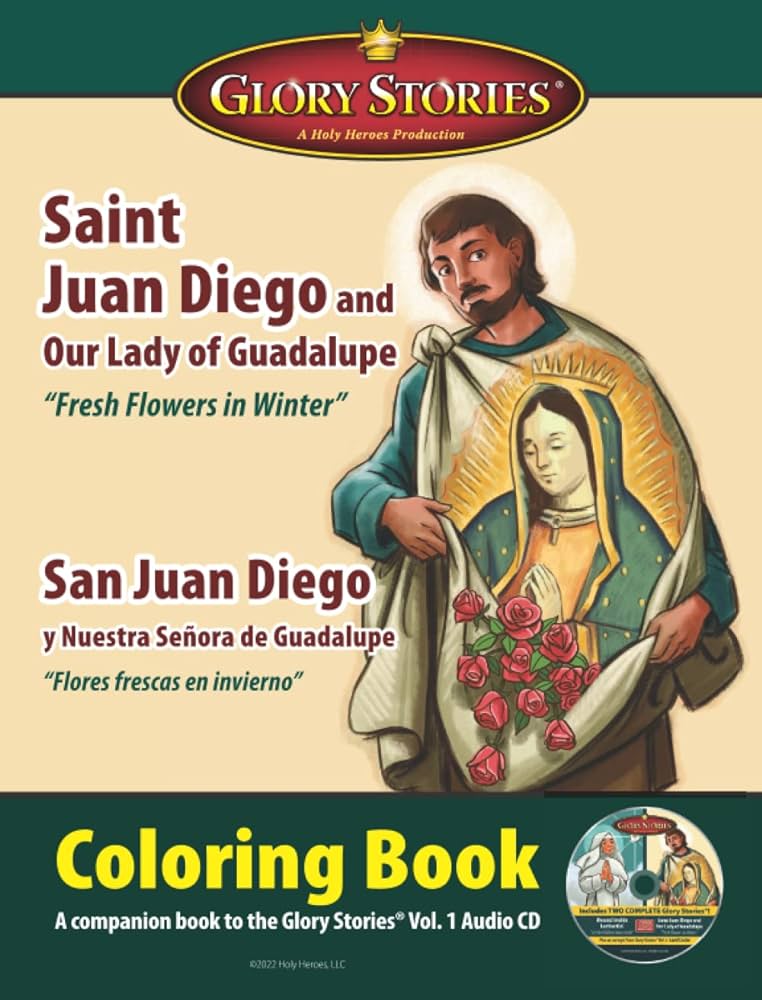 Saint juan diego and our lady of guadalupe by davison clara