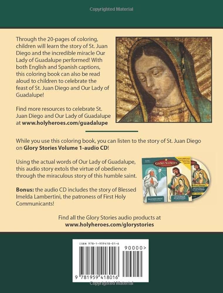 Saint juan diego and our lady of guadalupe by davison clara