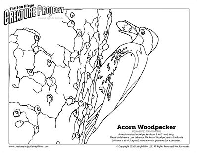 Fall coloring pages