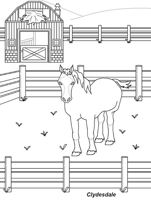 Wild horse in the stable in horses coloring page horse coloring horse coloring pages coloring pages