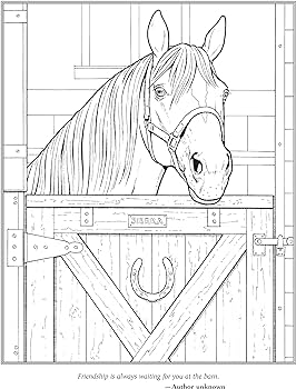 The horse lovers coloring book dover animal coloring books green john books