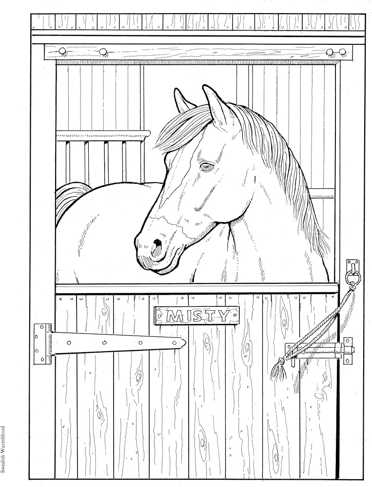 Adult coloring great horses coloring book adult coloring books animals green john books