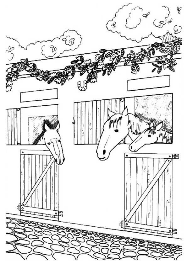 Coloring page horse coloring pages coloring pages horse coloring