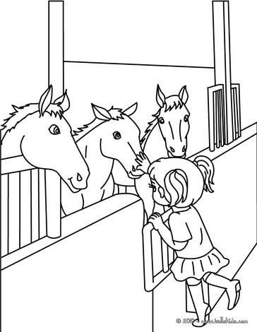 Horse