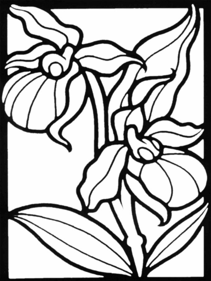 Pin by dacia kane on doodle art designs in flower coloring pages coloring pages free printable coloring pages